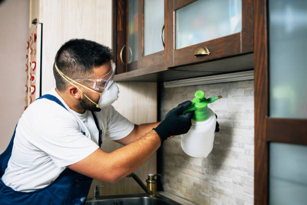 Best Bed Bug Extermination  in Rustburg, VA