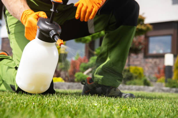 Best Emergency Pest Control  in Rustburg, VA