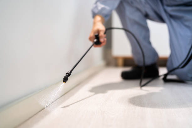 Best Cockroach Control Services  in Rustburg, VA