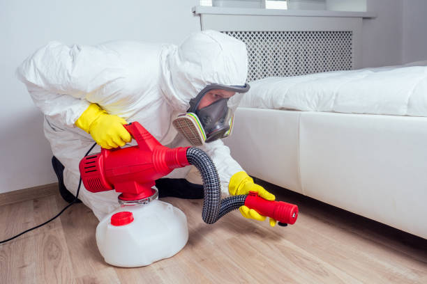 Best Insect Control  in Rustburg, VA