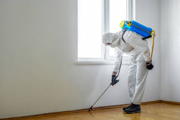 Best Rat Extermination Near Me  in Rustburg, VA