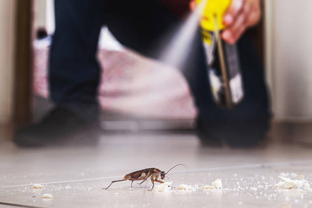 Best Cockroach Control Services  in Rustburg, VA