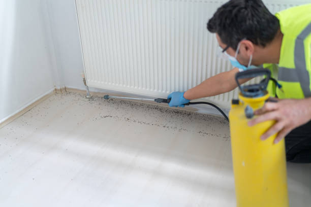 Best Local Pest Control Services  in Rustburg, VA